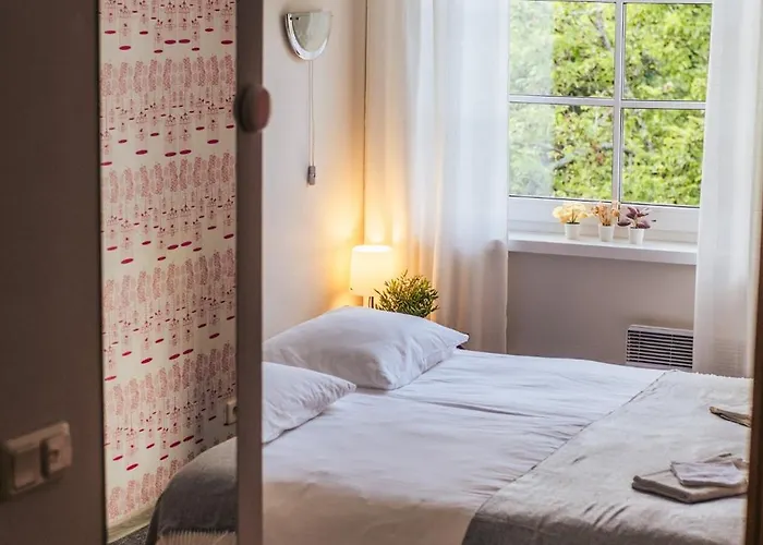 Villa14 - Noisy Party Hostel Parnu